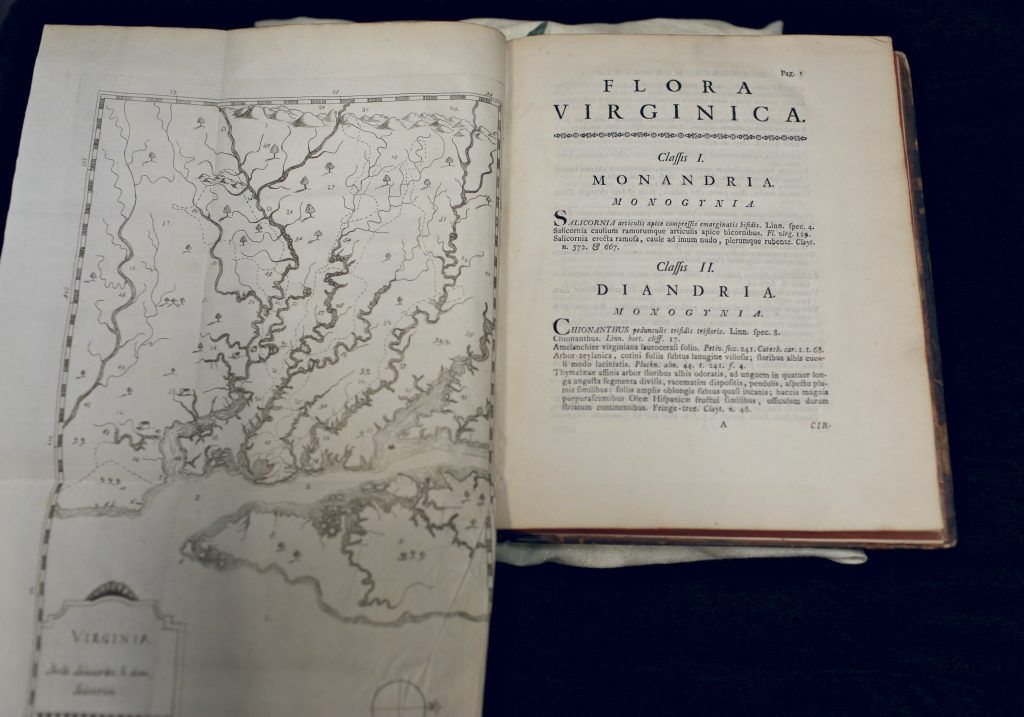 The Flora Virginica book
