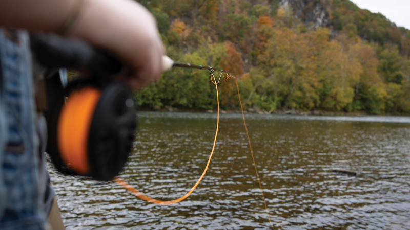 Photo of person holding a fly rod over the river.  Photo by Chase Parker for Virginia Tech.