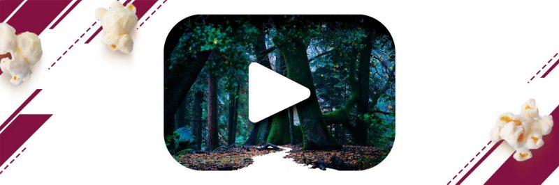 A mysterious forest in a play button.