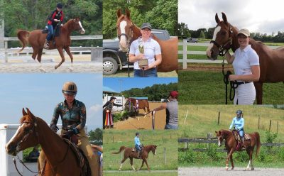 A collage of photos of Kasey and his owner Maggie Meikle