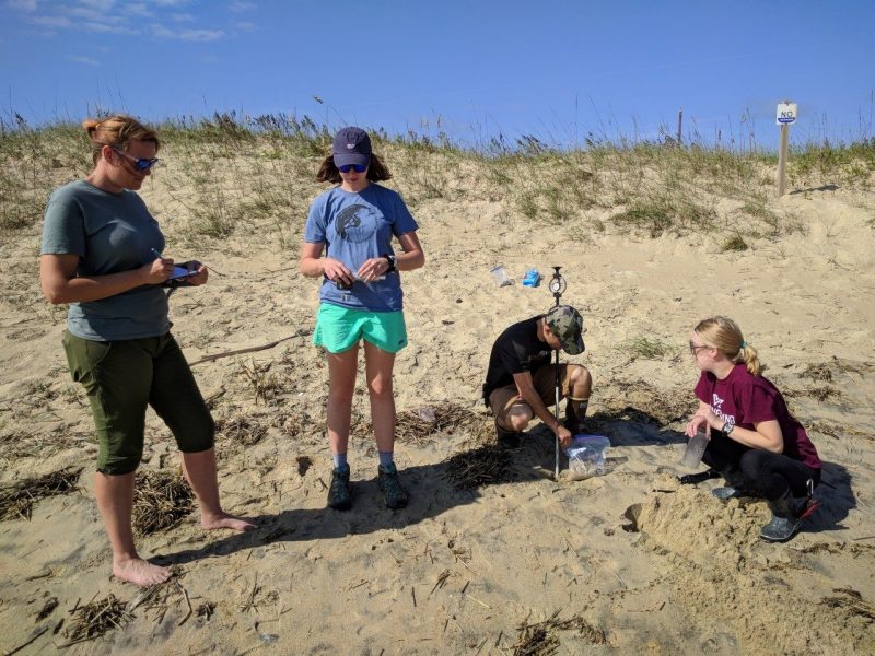 Nina Stark and students conduct field research on a sandy beach.