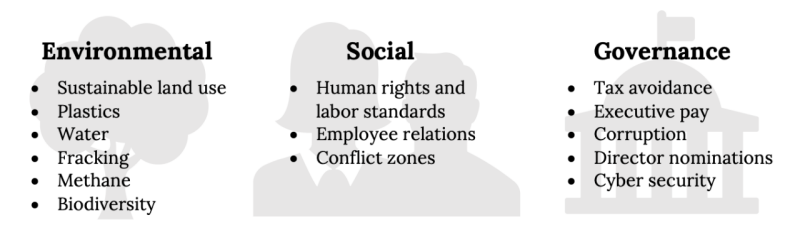 Graphic showing the 3 groups of topics: Environmental, Social, and Governance.