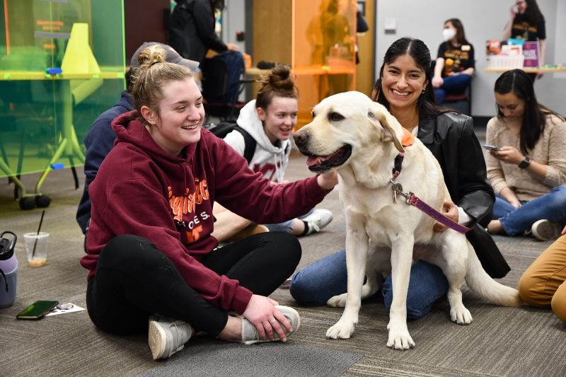 Students sit on the floor, smiling and laughing, while petting a yellow Labrador Retriever.