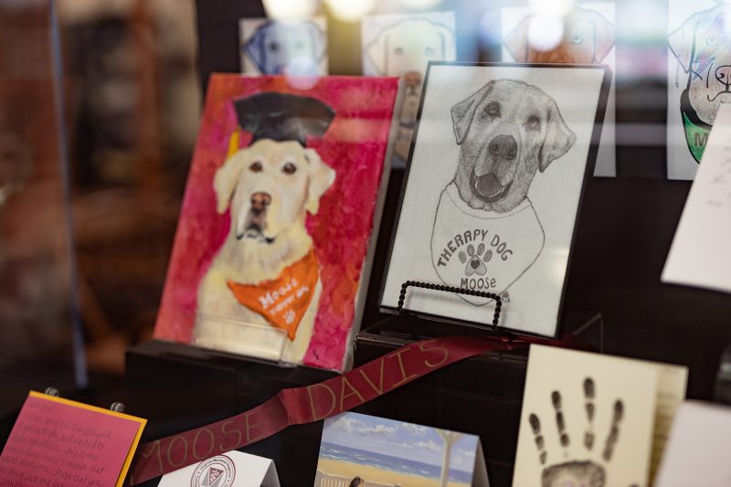 Multiple paintings, drawings, and cards sit on stands in the Special Collections and University Archives window.