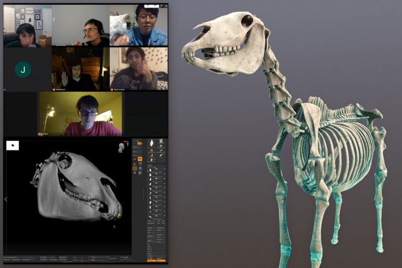ARIES students virtually review work on a 3D horse skeleton.