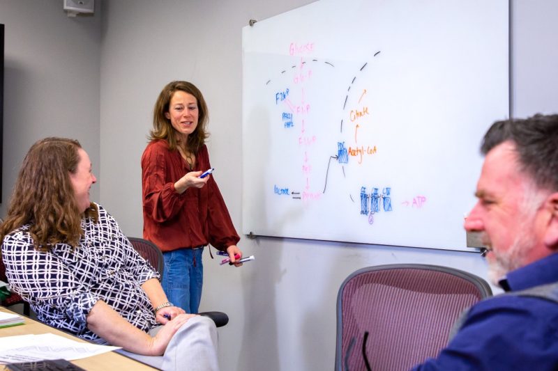 LeClair holds a set of dry erase markers on a whiteboard that features hand drawn medical diagrams. Walz and Binks sit at a table in front of the whiteboard laughing with LeClair.